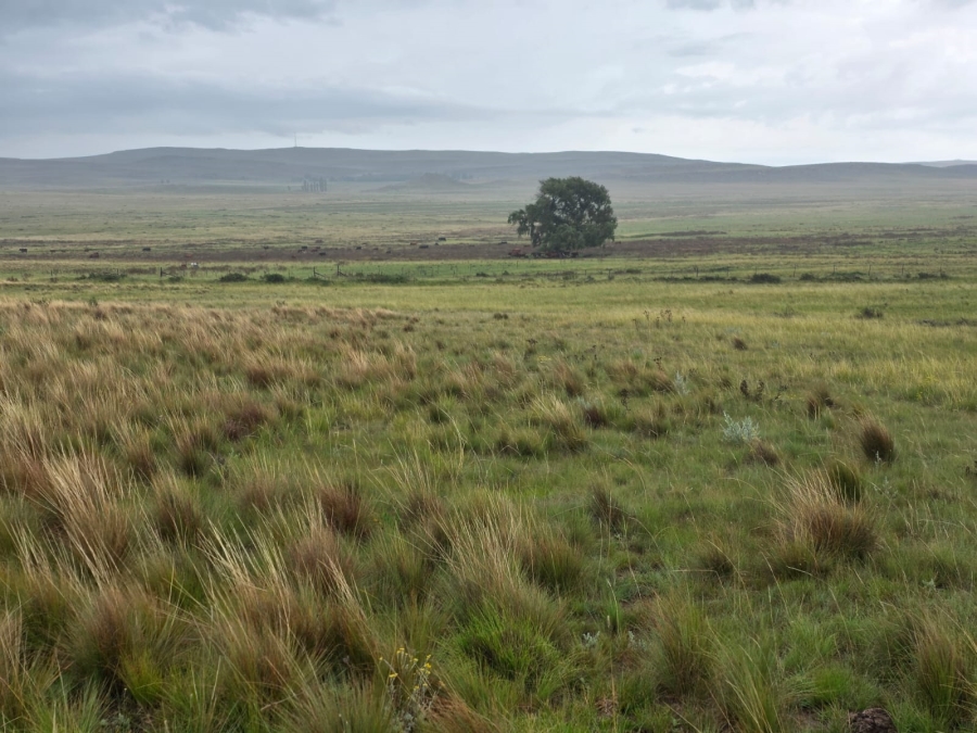 4 Bedroom Property for Sale in Jamestown Eastern Cape